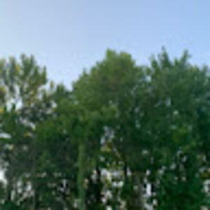 Meet your Posher, Ethan